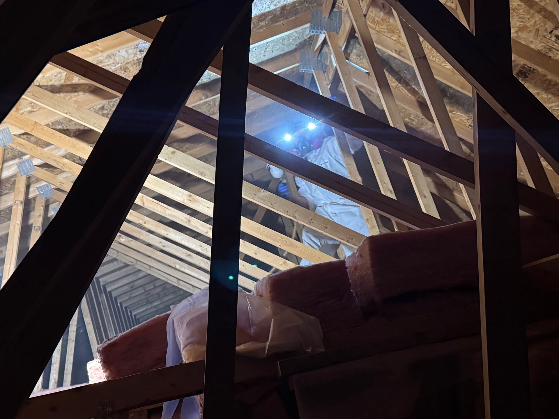 Attic decontamination service