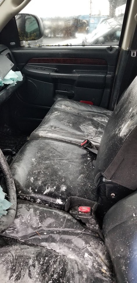 Bacteria in car interior