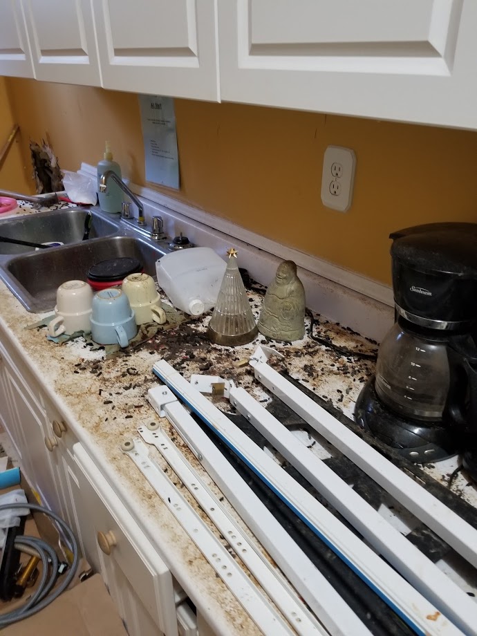 Biohazard scene cleanup