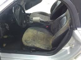 Black mold in car decontamination