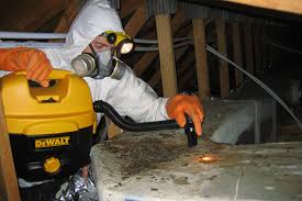 HEPA vacuum service for crawl space contamination