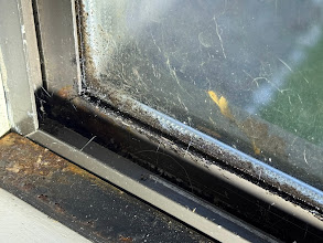 Mold around attic window area