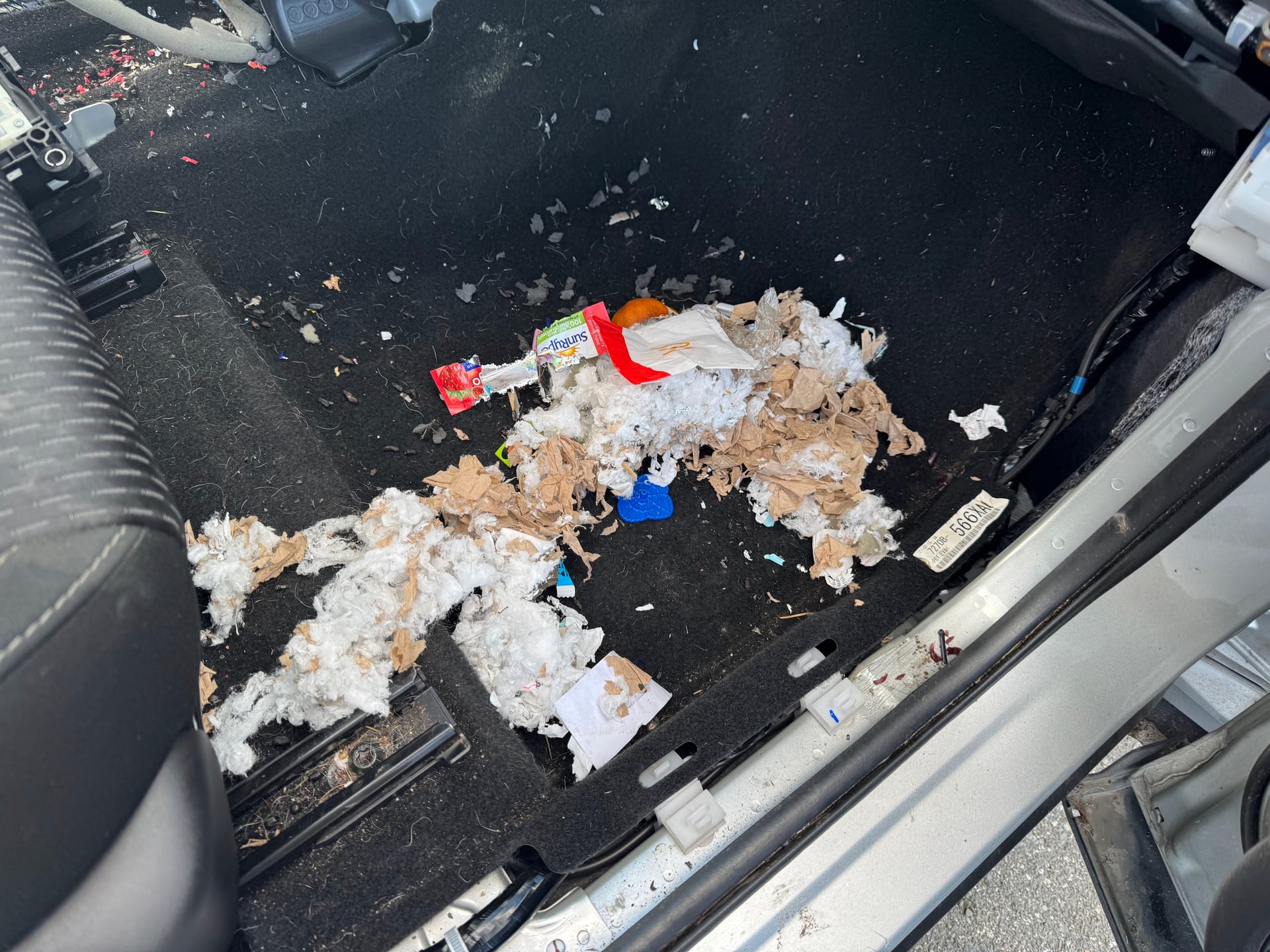 Rat nesting found in vehicle