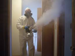 Thermal fogging treatment for cigarette smoke odour