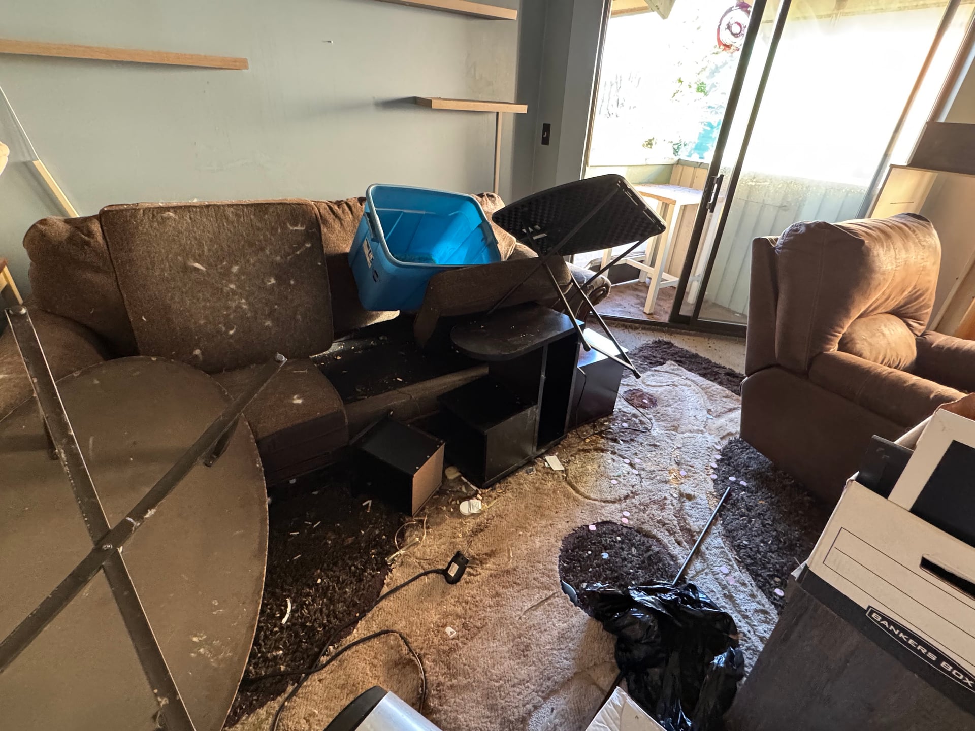 Severe clutter and debris requiring hoarding cleanup