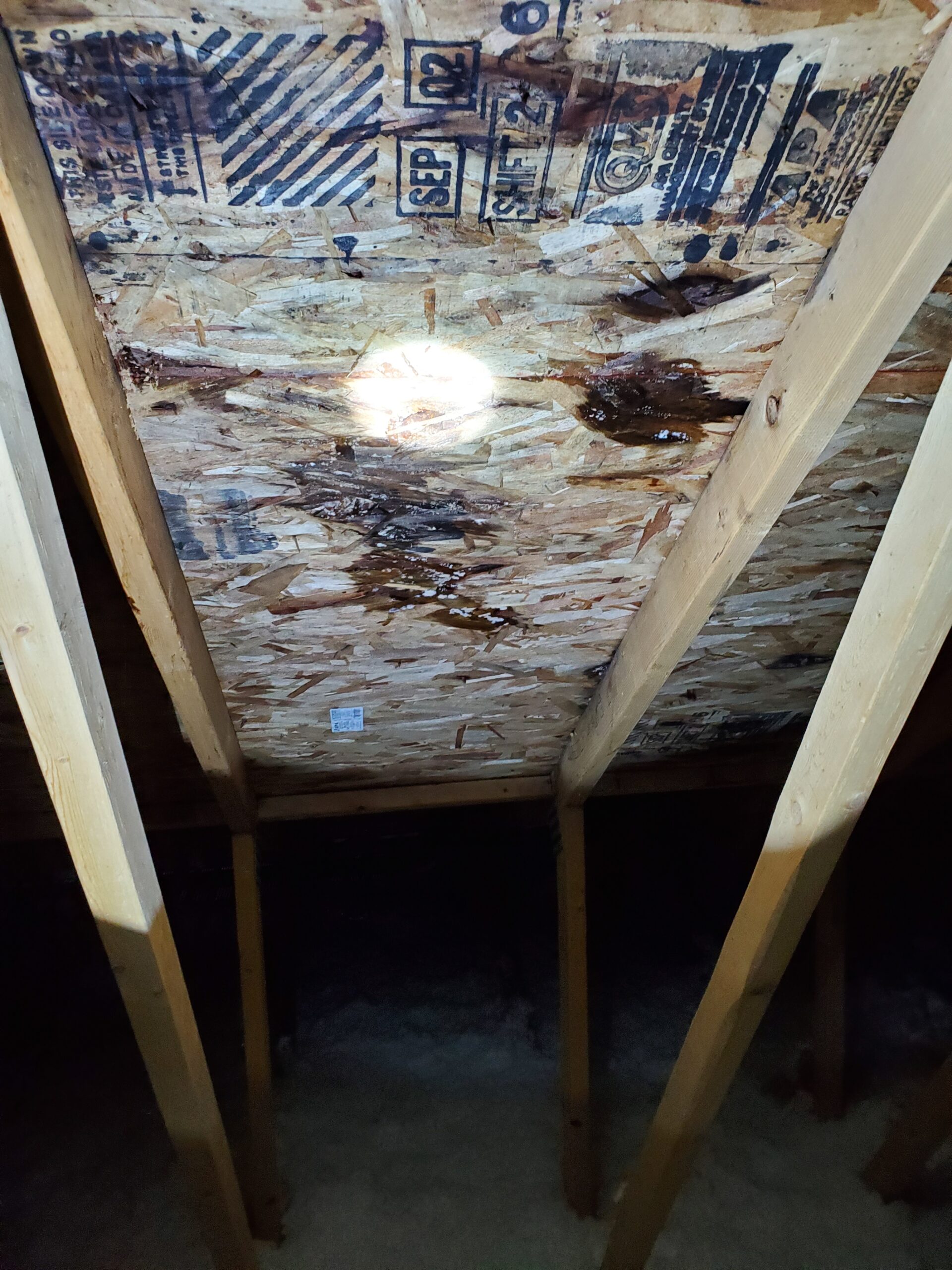 Removing Mold in Attics