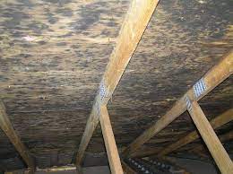 Why Mold Staining on Roof Sheathing May Not Require Removal After Treatment