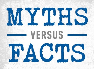 Myths About Attic Mold