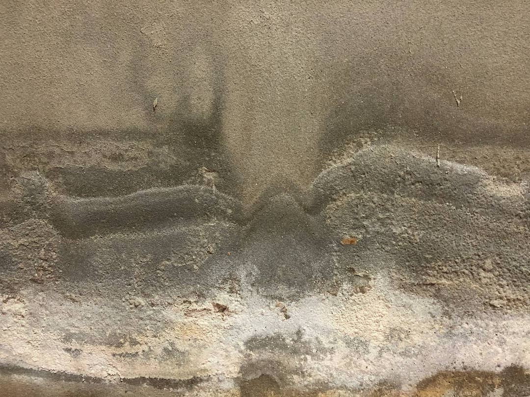 Understanding Efflorescence: Causes, Risks, and the Link to Mold Growth