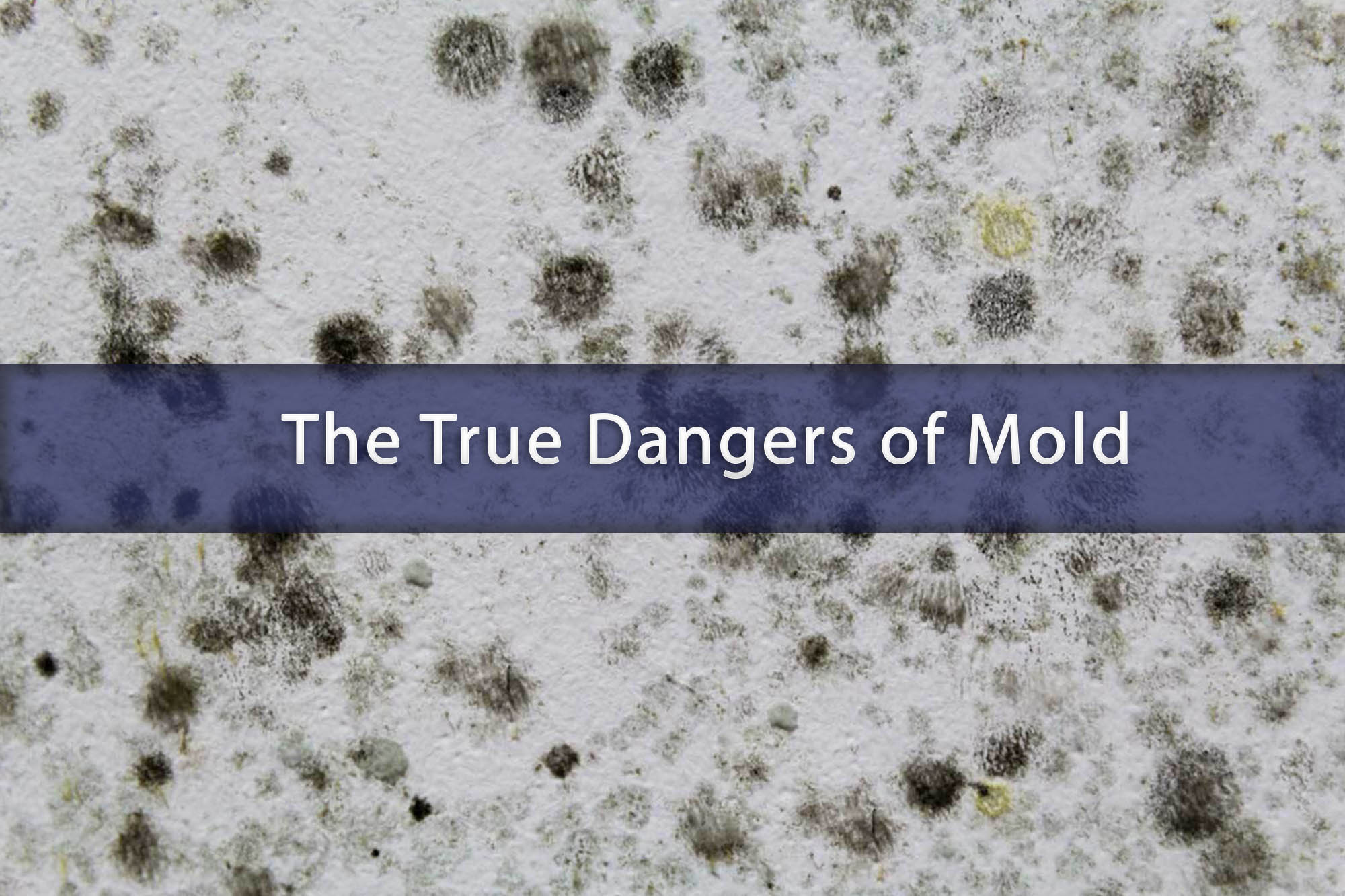 Eliminating Mold and Mildew PacificDecon