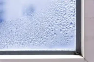Avoid Moisture and Mold: Tips for Temporary Window Coverings